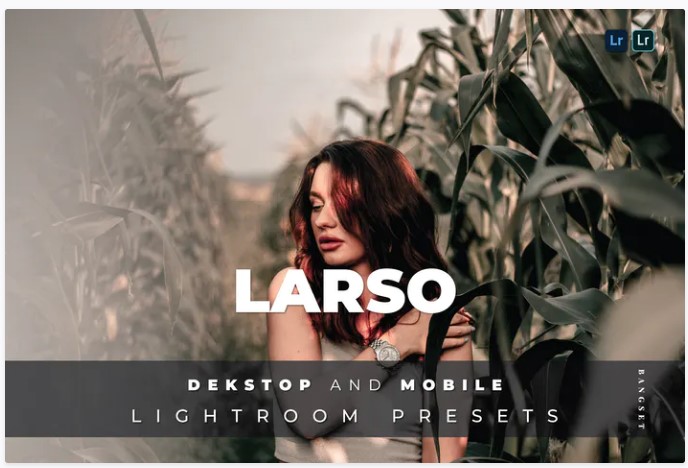 [Elements.Envato] Larso Desktop and Mobile Lightro_0.jpg